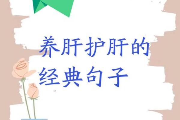 靠命养命：探索生命的意义与价值的哲学思考