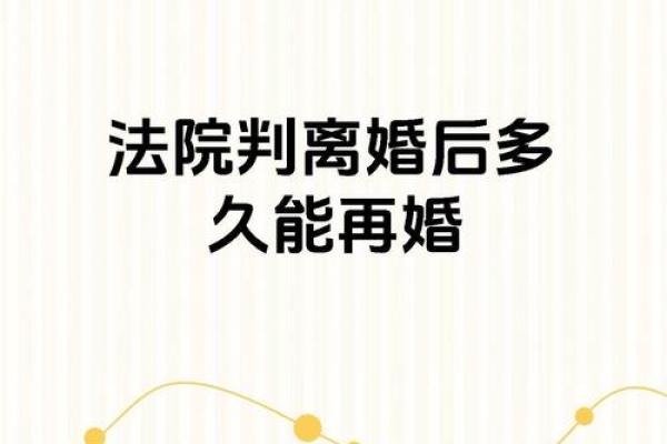 离婚又复婚：命运交汇中的爱情纠葛与启示