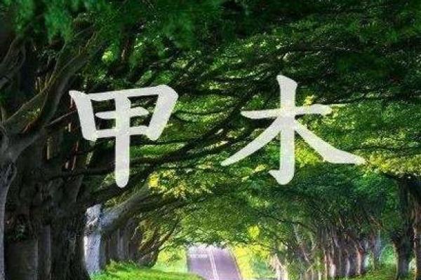 解密命局甲木：繁荣与挑战共存的命运之旅