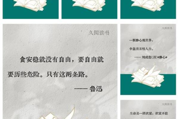 揭开九条二命的神秘面纱，解读其生活智慧与实用价值