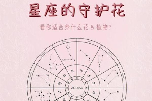 解密命盘第六宫：守护星座对生活的深远影响