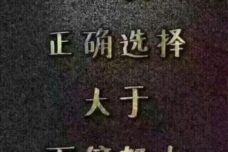 揭开命丛之谜：理解命运与选择的韵律