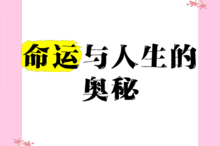 揭秘命里食禄的深意与影响，探寻幸福的滋味与人生的奥秘